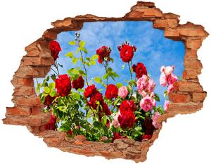 Fototapet 3D gaură în perete trandafiri sălbatici