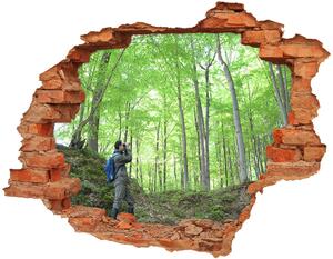 Fototapet un zid spart cu priveliște Ornitolog în pădure