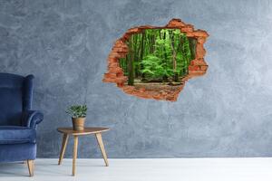Autocolant de perete gaură 3D pădure olandeză