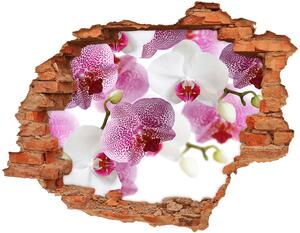 Fototapet 3D gaură în perete picturi murale orhidee