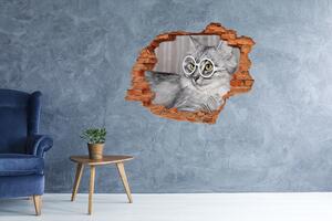 Autocolant de perete gaură 3D Cat cu ochelari