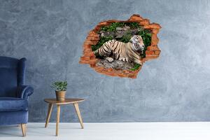 Fototapet 3D gaură în perete Tiger pe stâncă
