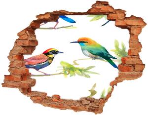 Fototapet un zid spart cu priveliște păsări exotice