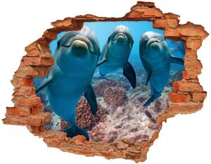 Autocolant un zid spart cu priveliște delfini