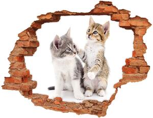 Autocolant un zid spart cu priveliște Două pisici de talie mică