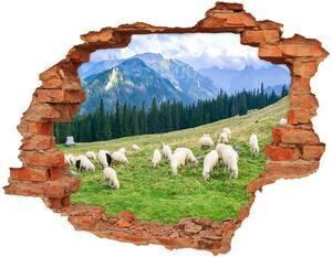 Autocolant autoadeziv gaură Oi în munții Tatra