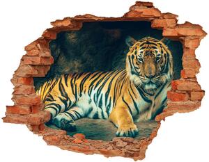 Autocolant 3D gaura cu priveliște Tiger Cave