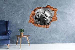 Autocolant 3D gaura cu priveliște dormit tigru