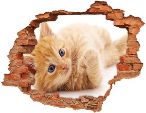 Fototapet un zid spart cu priveliște Red Cat