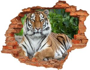 Autocolant autoadeziv gaură tigru siberian
