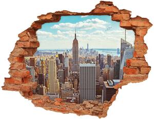 Fototapet un zid spart cu priveliște New York pasăre de zbor