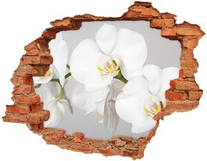 Autocolant de perete gaură 3D Orhidee