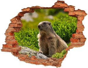 Autocolant gaură 3D marmota