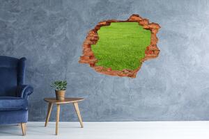 Autocolant 3D gaura cu priveliște iarbă verde