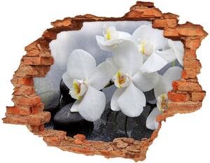 Fototapet un zid spart cu priveliște Orhidee
