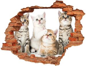 Fototapet 3D gaură în perete Autocolant pisici de talie mică