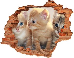 Fototapet 3D gaură în perete pisici de talie mică