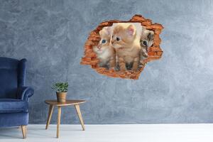 Fototapet 3D gaură în perete pisici de talie mică