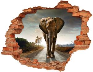 Autocolant de perete gaură 3D elefant de mers pe jos
