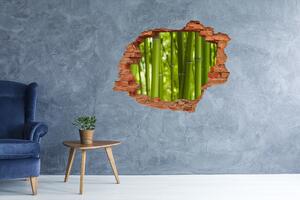 Fototapet 3D gaură în perete Bambus