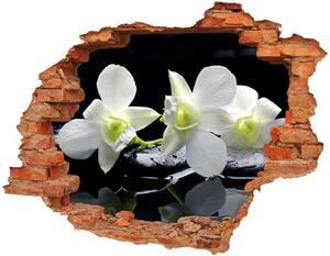 Autocolant de perete gaură 3D Orhidee