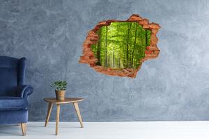 Fototapet 3D gaură în perete pădure de foioase