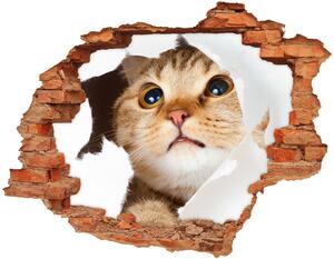 Autocolant de perete gaură 3D Cat în gaura