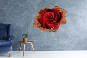 Autocolant de perete gaură 3D Picaturi pe un trandafir