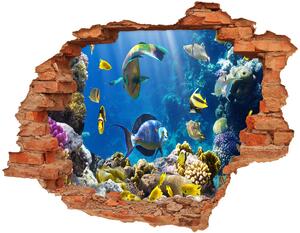 Fototapet un zid spart cu priveliște recif de corali