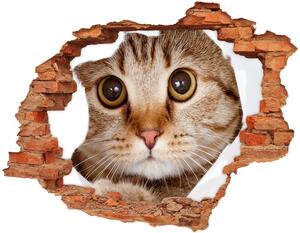 Fototapet 3D gaură în perete Pisică