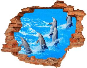 Fototapet 3D gaură în perete delfini