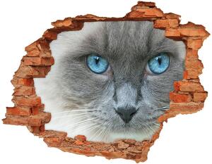 Autocolant de perete gaură 3D Cat ochi albaștri