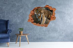 Autocolant de perete gaură 3D Tiger pe un copac