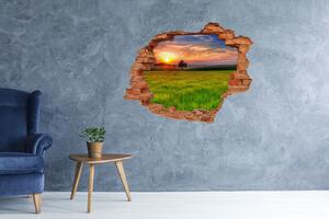 Autocolant de perete gaură 3D Sunset Meadow