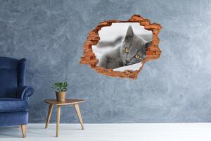 Autocolant de perete gaură 3D pisică gri