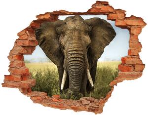 Autocolant gaură 3D Elephant pe savana