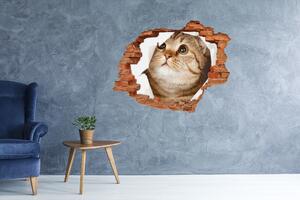 Autocolant de perete gaură 3D Pisică