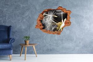 Fototapet 3D gaură în perete semințe de papadie