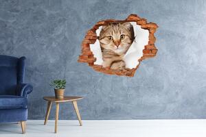 Autocolant de perete gaură 3D Pisică