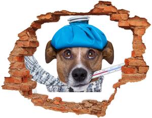 Autocolant de perete gaură 3D câine bolnav