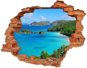 Fototapet un zid spart cu priveliște Insulele Virgine