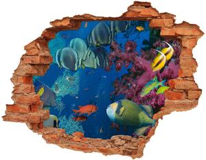 Fototapet un zid spart cu priveliște recif de corali