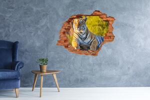 Autocolant 3D gaura cu priveliște Portret de un tigru
