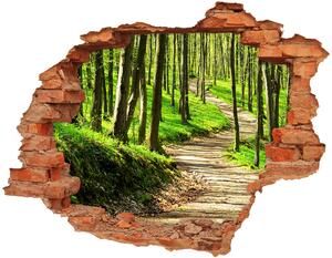 Fototapet un zid spart cu priveliște Calea în pădure