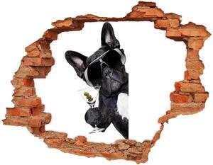 Fototapet un zid spart cu priveliște Câine cu martini