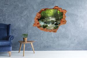 Autocolant de perete gaură 3D Cascada din pădure