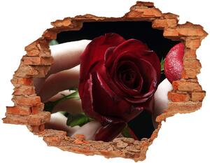 Autocolant autoadeziv gaură Femeia cu un trandafir