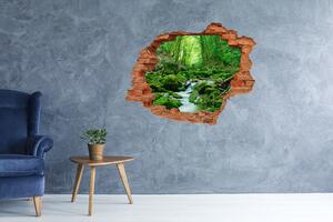 Fototapet 3D gaură în perete Stream în pădure
