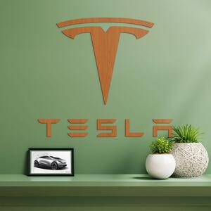 DUBLEZ | Semn de mașină din lemn pentru perete - Tesla