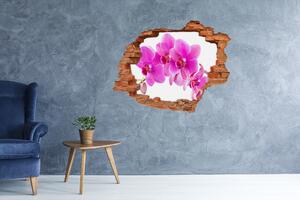Autocolant de perete gaură 3D orhidee roz